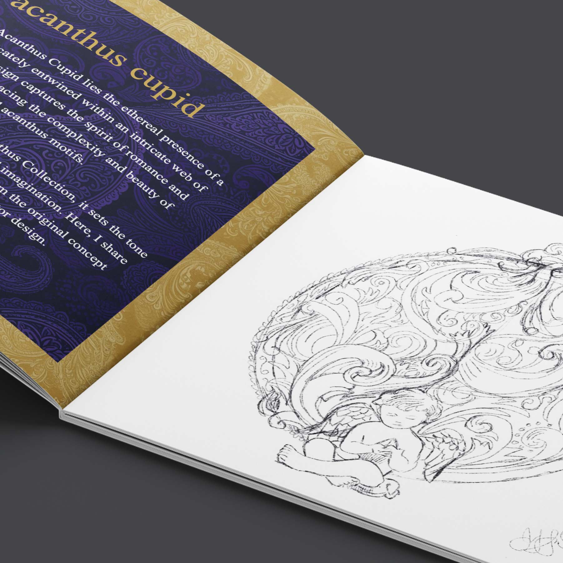 Vanity Pix book illustration showcasing fine art visual design layouts