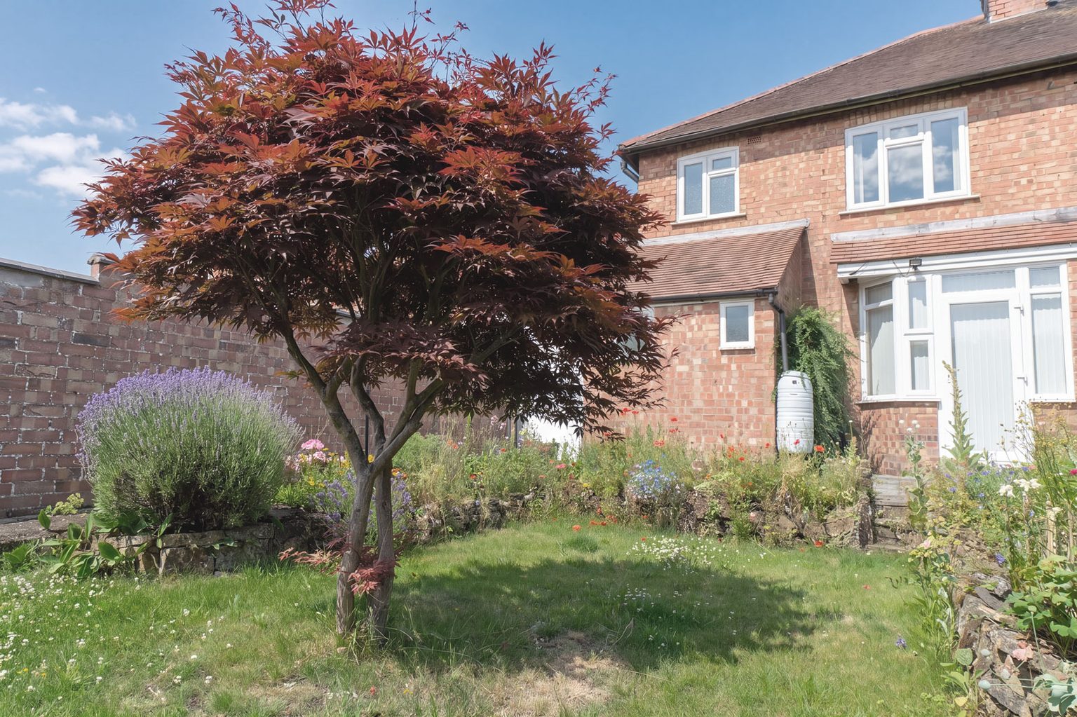 Private residential garden photography