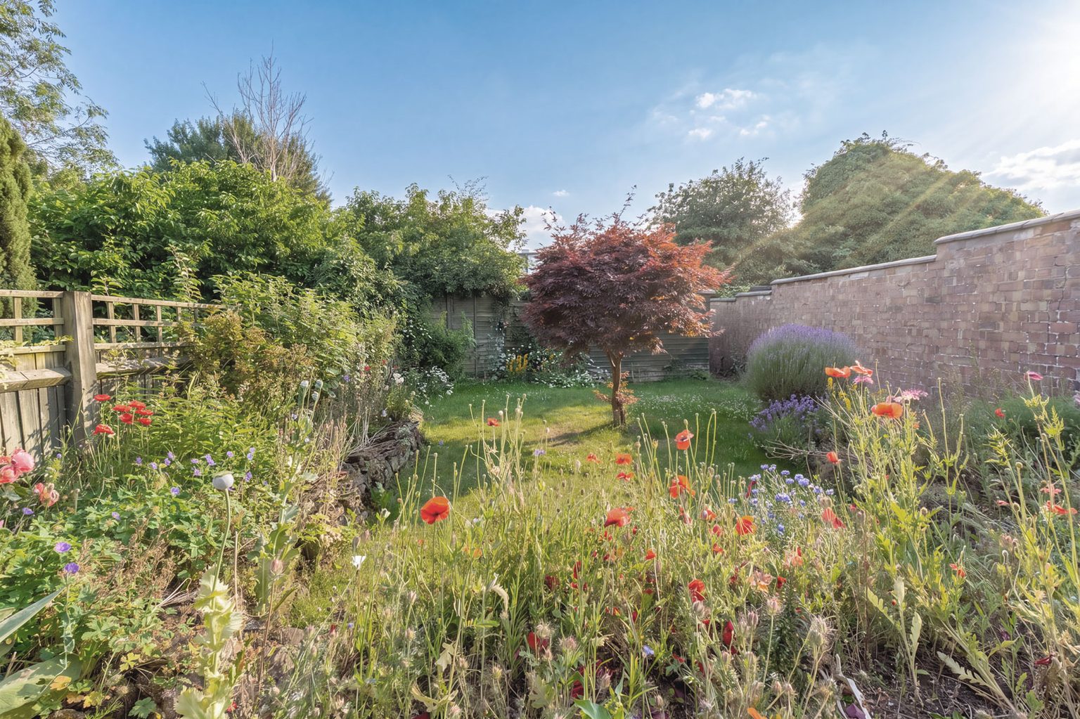 Private residential garden photography