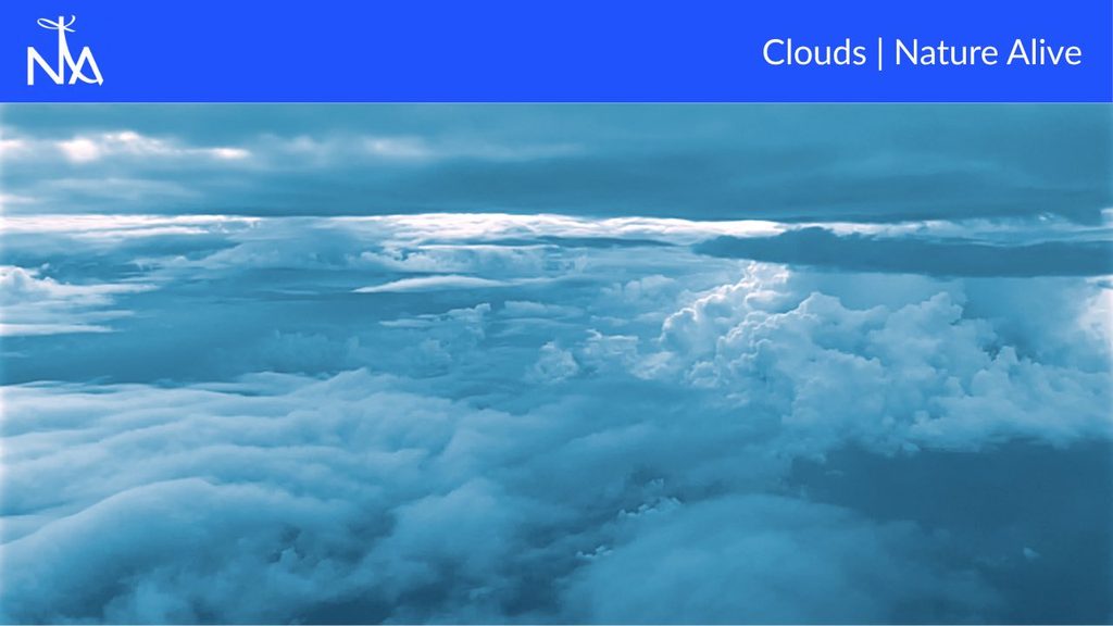 A high-angle shot captures a vast expanse of clouds, rendered in various shades of blue and white. The clouds are layered, with some appearing soft and wispy, while others are dense and voluminous, creating a sense of depth and texture. The lighting suggests a bright day, with sunlight filtering through and illuminating the cloud formations. A blue banner runs across the top of the image, featuring a white logo on the left and the text "Clouds | Nature Alive" on the right.