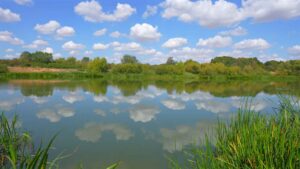 Calm lake surrounded by lush green trees and reeds under a blue cloudy sky.