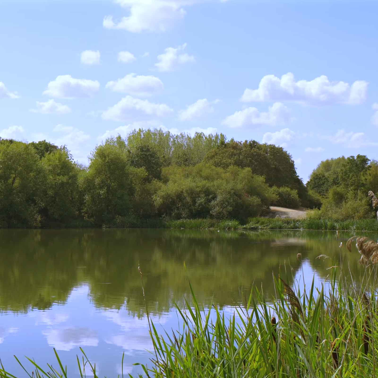 Tranquil lake bordered by thick green woods with a small dirt pathway visible in the distance.