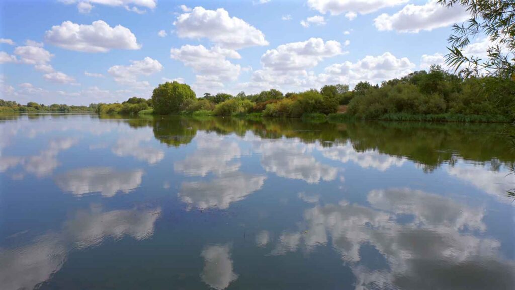 Wide view of a quiet lake with vibrant green marsh grass in the foreground and a distant tree line.