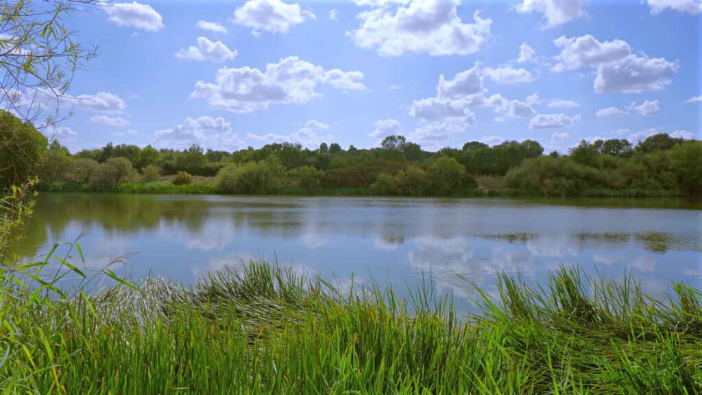 Rocky shoreline of a lake reflecting a bright blue sky and billowy white clouds in the water.