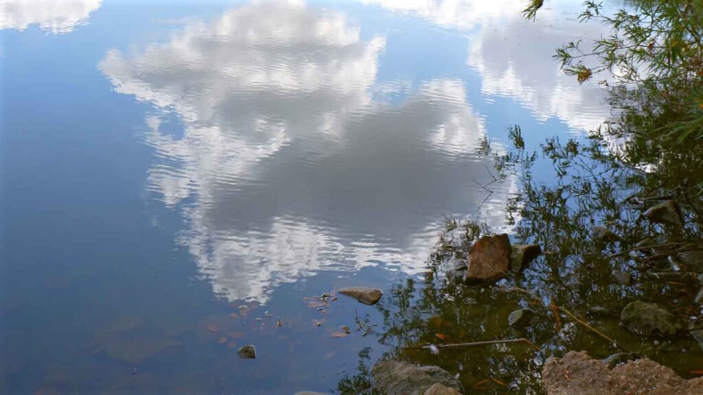 Mirror-like reflection of fluffy white clouds and a green tree line on a glassy, still lake.
